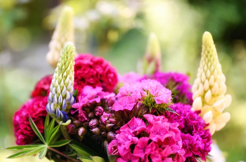 fleuriste-MOISSAC BELLEVUE-min_flowers-5369794